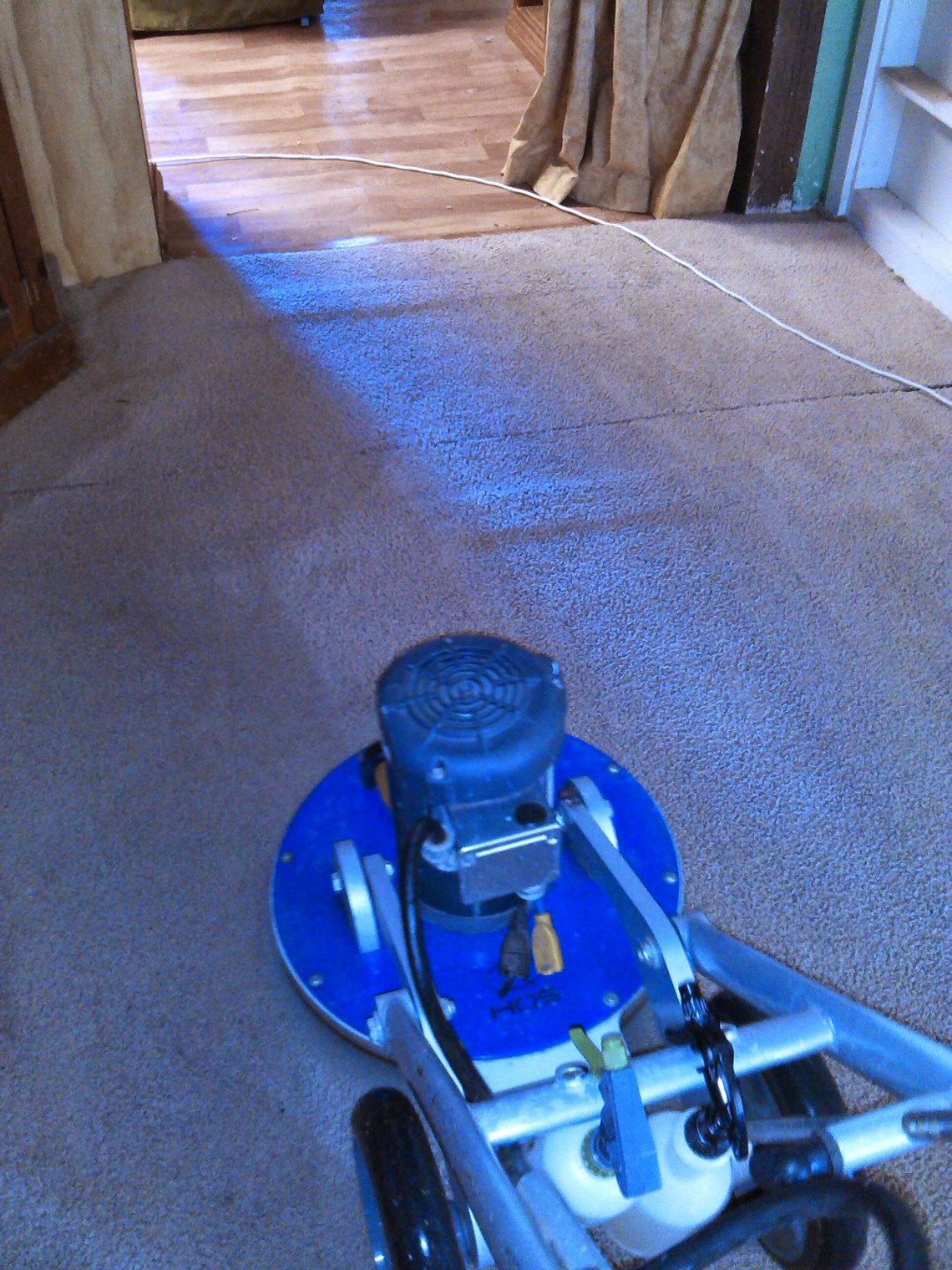 Loxton Carpet Cleaning