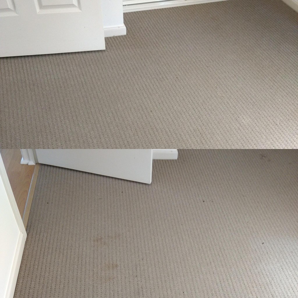 Carpet Care Riverland.