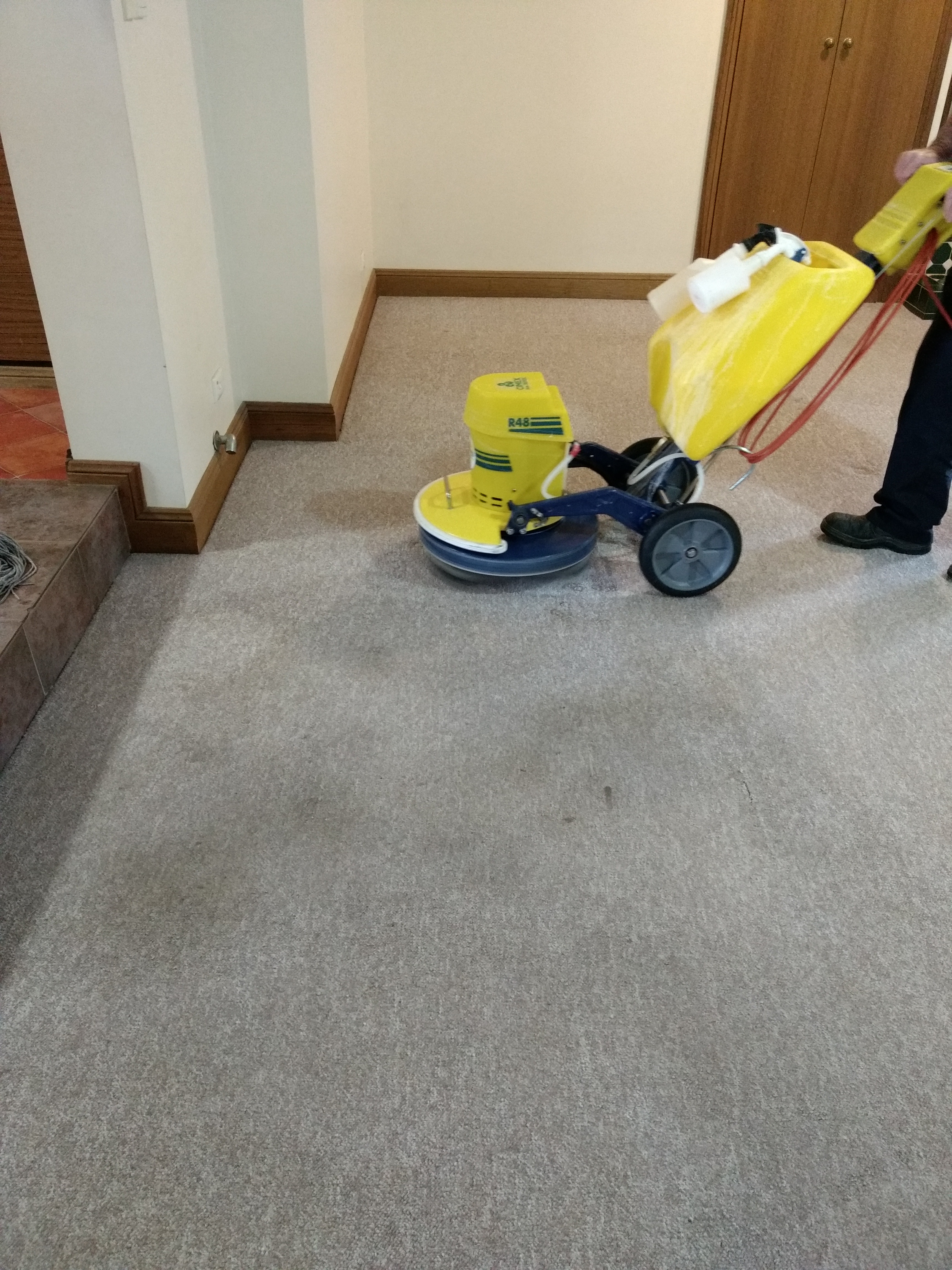 Carpet Cleaning Riverland