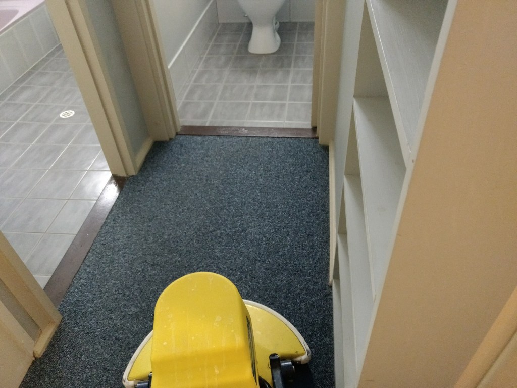 Riverland Carpet Cleaning Service