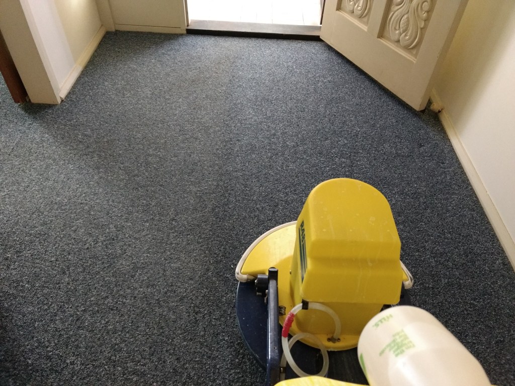 Riverland Carpet Cleaning Service