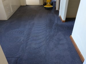 Carpet Cleaner Near Loxton
