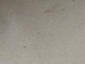 IMG_Carpet Cleaning Riverland 